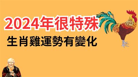 2024 雞運程|不同年份生肖雞運勢及運程：2024年屬雞的全年每月運勢